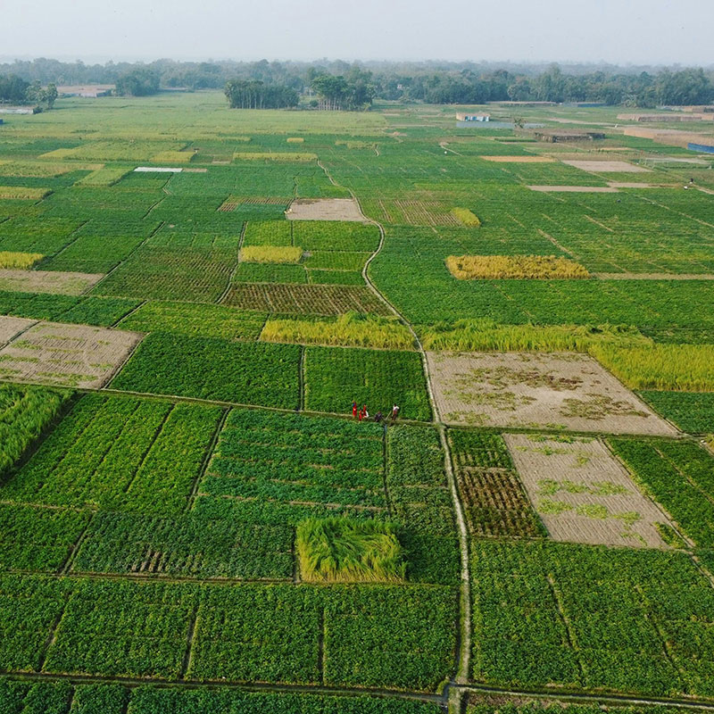 Agricultural Analysis;
Crop Monitoring,